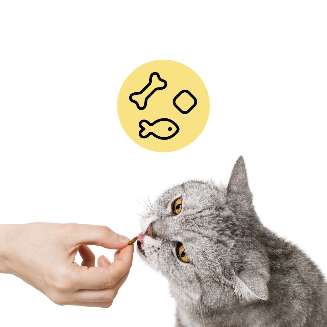 Utforska populära kattgodis från svenska varumärken hos Djurslottet