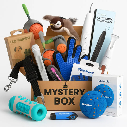 Mystery box