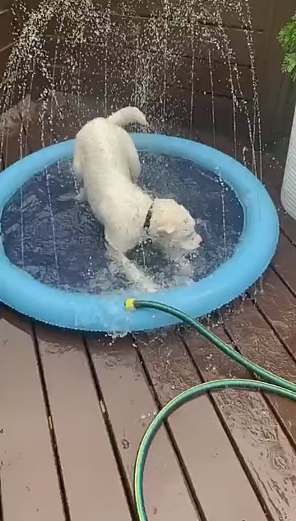 Pawsplash Sprinkler pool for dogs