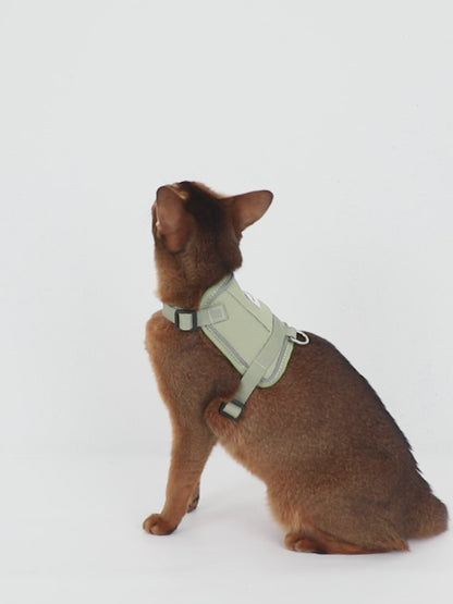 Detixy Cat harness with leash