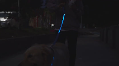 Led shining leash